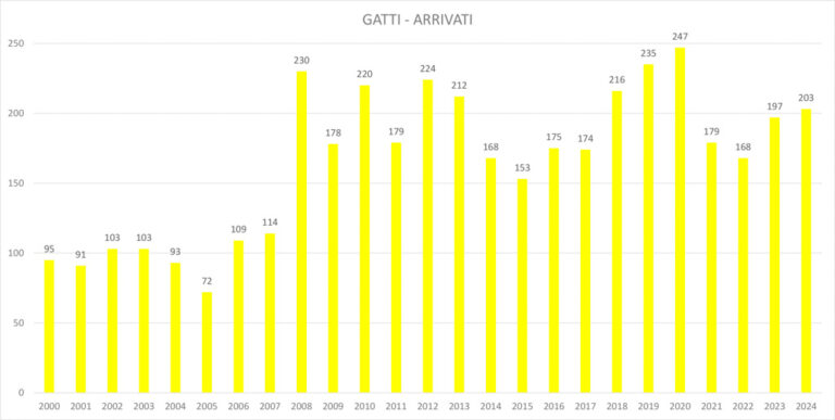 GATTI ARRIVATI_SERIE STORICA