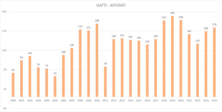GATTI AFFIDATI_SERIE STORICA